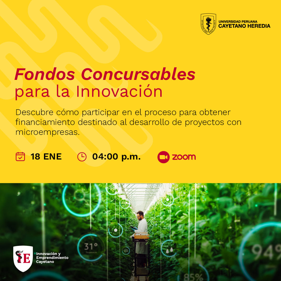 Charla virtual Fondos Concursables para la Innovación Investigación