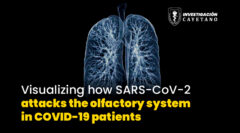 Conferencia «Visualizing how SARS-CoV-2 attacks the olfactory system in COVID-19 patients»