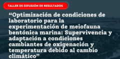 ¿Quieres saber más de los foraminíferos y por qué estudiarlos?