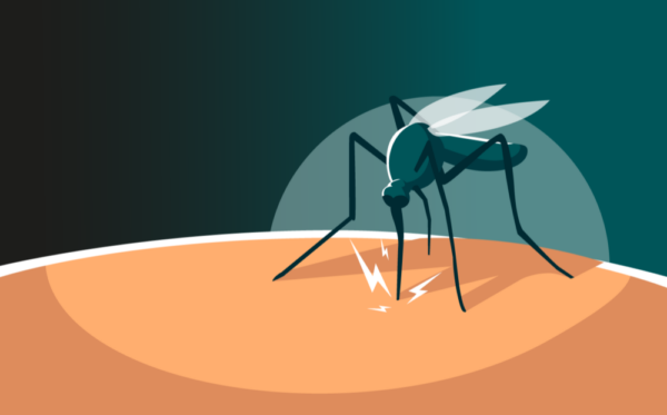 nota_web_diamundialmalaria2025_upch