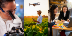 Conéctate al webinar “Servicios de investigación: nueva directiva”