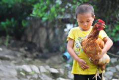 Día del Médico Veterinario: investigación revela riesgo de resistencia antimicrobiana en Iquitos