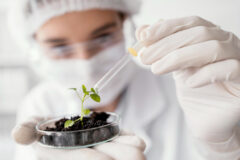 ICGEB abre oportunidades de financiamiento para científicos peruanos en biotecnología