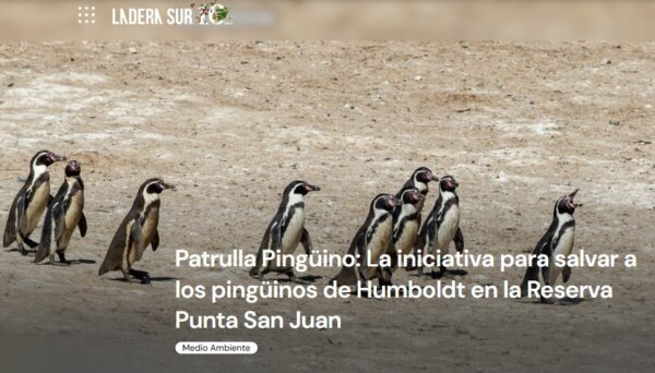 Captura de pantalla 2025-11-19 081613