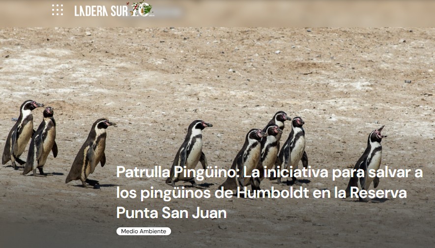 Captura de pantalla 2025-11-19 081613