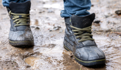Leptospirosis en el Perú: Dr. Ernesto Gozzer analiza el aumento de casos