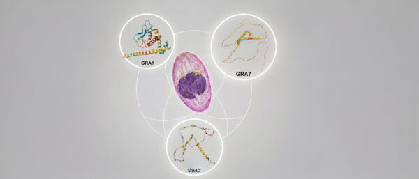 imagen para taller (1)