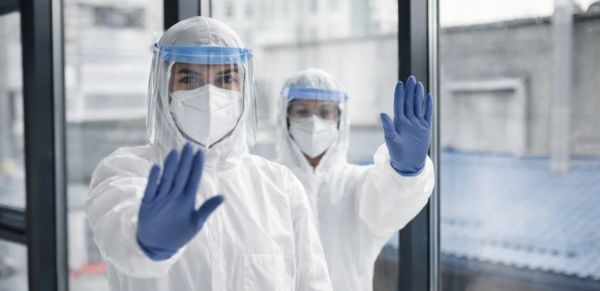 Imagen_Seleccionada2