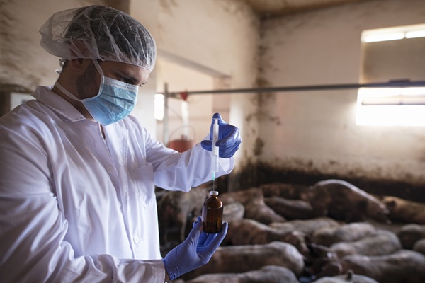 Veterinarian in protective clothes holding syringe with medicine at pig farm.