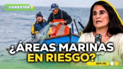 Dra. Susana Cárdenas destaca en medios la importancia de prohibir la pesca industrial en áreas naturales protegidas
