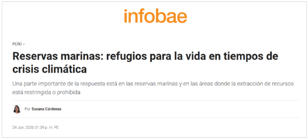 susana cardenas columna infobae