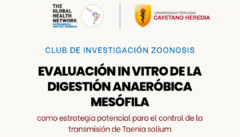 Taenia solium: nuevas estrategias para controlar su transmisi贸n