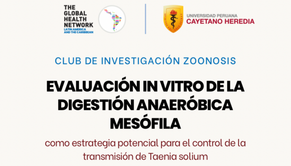 11 nuevo tghn