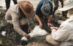 Investigador de Cayetano lidera expedición que descubre cráneo fósil de manatí de más de 13 millones de años en Loreto