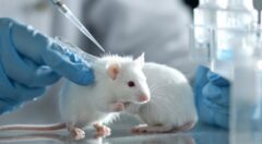 Webinar promoverá la ética y la conducta responsable en la investigación entre estudiantes de pregrado de Cayetano